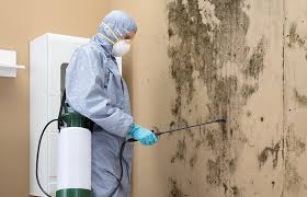 Forensic Mold Investigation in Sheffield, IA